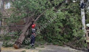 Read more about the article Un copac căzut a blocat accesul într-o locuință din municipiul Târgoviște!