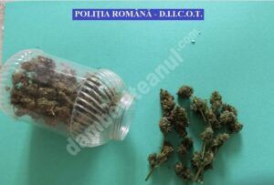 Read more about the article PERCHEZIȚII LA PERSOANE BĂNUITE DE TRAFIC DE DROGURI DE RISC ȘI DEȚINERE ÎN VEDEREA CONSUMULUI ILICIT DE DROGURI DE RISC