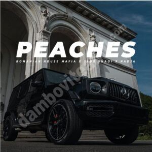 Read more about the article Romanian House Mafia în colaborare cu Jade Shadi și Nadja lansează un nou remake al piesei „Peaches”