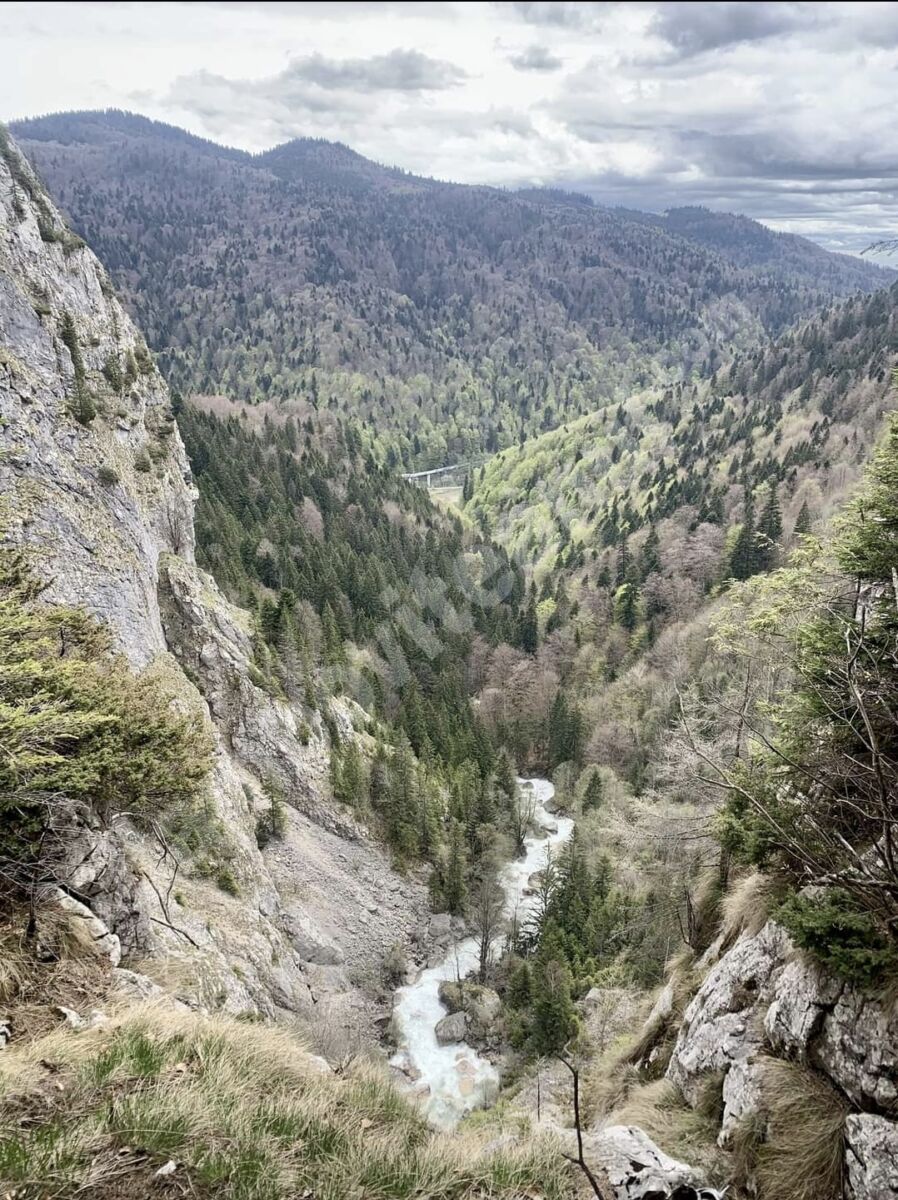 You are currently viewing Traseul Tabăra Vânătorul – Cheile Orzei – Cheile Zănoagei – Zănoaga este închis până pe 28 iulie 2021