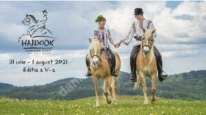 Read more about the article Haidook 2021 se organizează pentru Micul Haidook, la Runcu