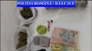 Read more about the article D.I.I.C.O.T. – B.T. Dâmbovița: Captură importantă de droguri de risc