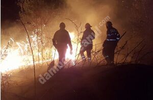 Read more about the article Incendiu și copaci doborâți de vânt, în sudul județului! Pompierii au intervenit!