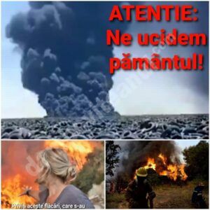 Read more about the article Politicianul dâmbovițean, Ionel Petre, atrage atenția asupra modului în care distrugem mediul