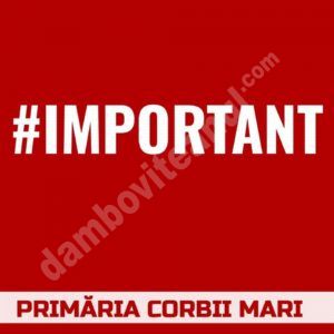 Read more about the article Din cauza condițiilor meteo nefavorabile, se reprogramează tratamentele împotriva insectelor, la Corbii Mari