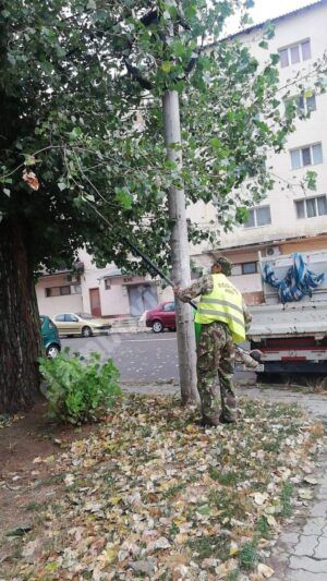 Read more about the article Probleme, la Târgoviște, în urma vijeliei din această după-amiază