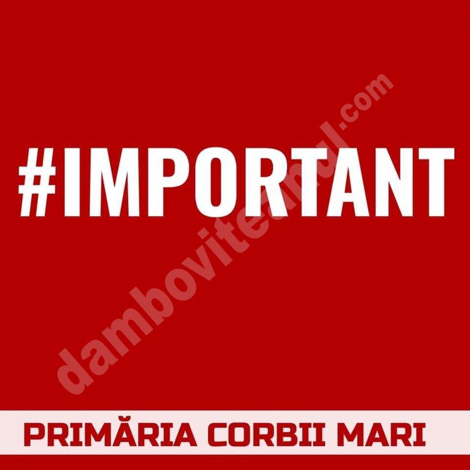 You are currently viewing Întârzieri în ridicarea gunoiului, la Corbii Mari