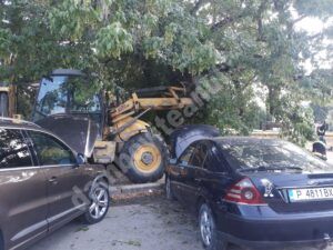Read more about the article Un copac a avariat grav două autoturisme, la Moreni!