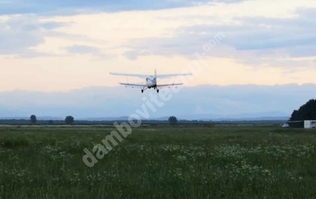 You are currently viewing CORBII MARI: Se vor efectua acțiuni de combatere a insectelor, prin pulverizări aeriene