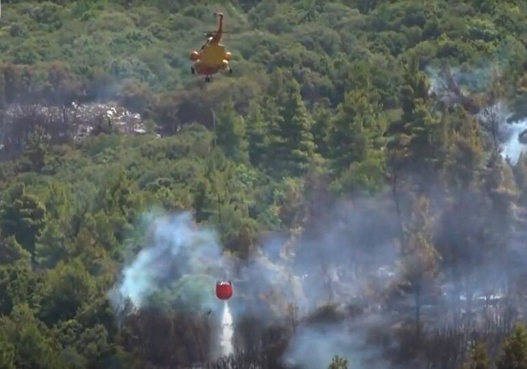 You are currently viewing Peninsula Peloponez din Grecia e în flăcări. Patru sate au fost evacuate
