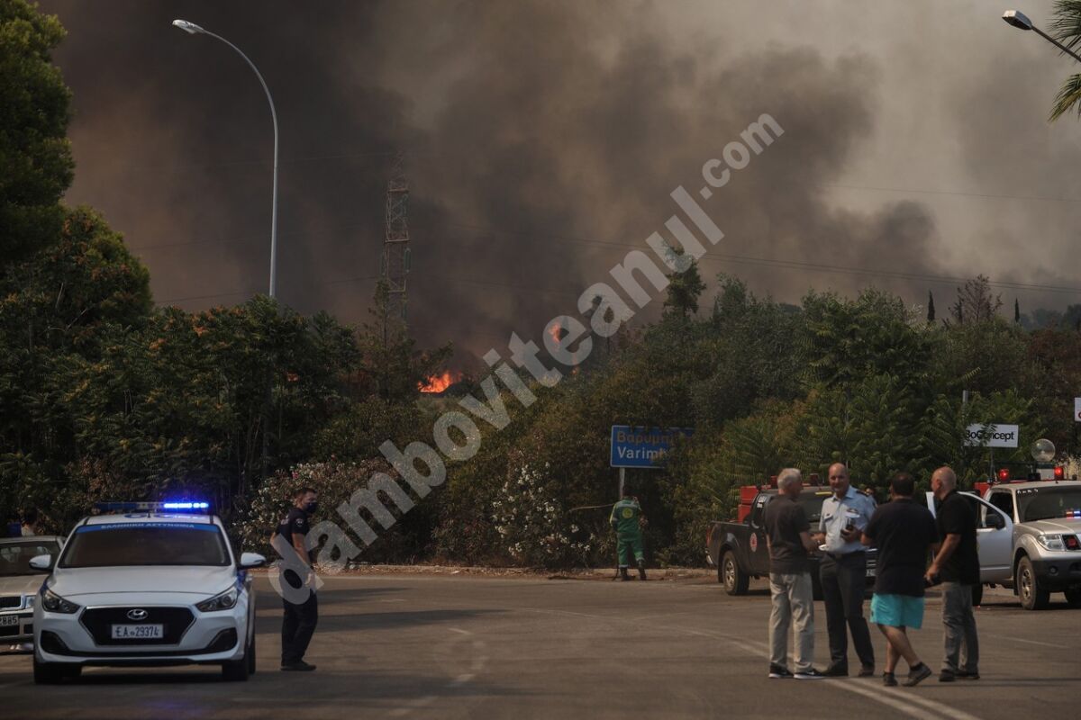 You are currently viewing Incendiile de vegetație amenință capitala Greciei