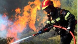 Read more about the article România, a doua cea mai afectată țară de incendiile de pădure din UE, din această vară