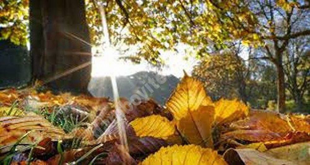 You are currently viewing Toamna începe cu temperaturi de vară în Muntenia. Maxime de până la 34 de grade la început de septembrie