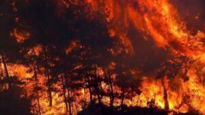Read more about the article Stare de urgenţă în Rusia din cauza incendiilor de pădure din rezervaţia naturală Mordovia