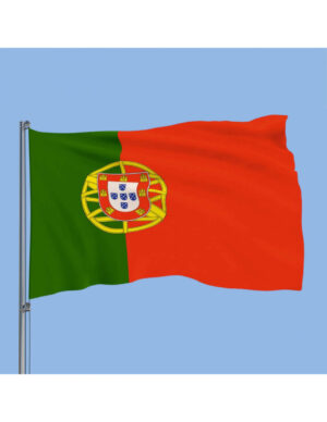 Read more about the article Portugalia limitează accesul copiilor sub 16 ani la rețelele de socializare