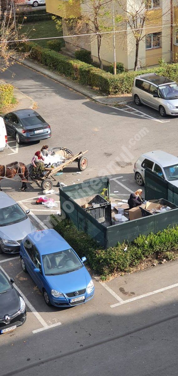 You are currently viewing Cu cine civilizăm Târgoviştea?