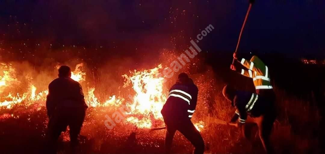You are currently viewing Primarul comunei Aninoasa reacționează, în contextul producerii repetate a incendiilor de vegetație uscată: pe aceia care le provoacă, fără a se gândi la urmările tragice pe care le pot avea, îi asigur că vor răspunde în fața legii!