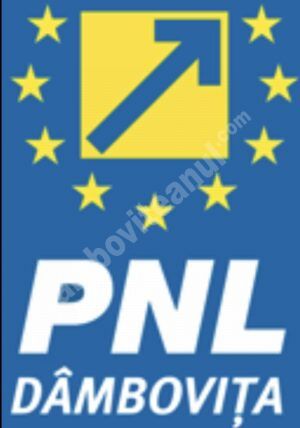 Read more about the article COMUNICAT PNL DÂMBOVIȚA: Faptele și cifrele vorbesc de la sine despre eficiența Guvernului Cîțu!