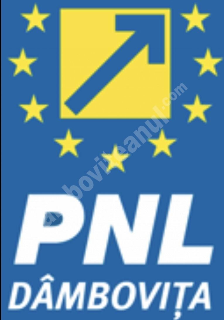You are currently viewing COMUNICAT PNL DÂMBOVIȚA: Faptele și cifrele vorbesc de la sine despre eficiența Guvernului Cîțu!
