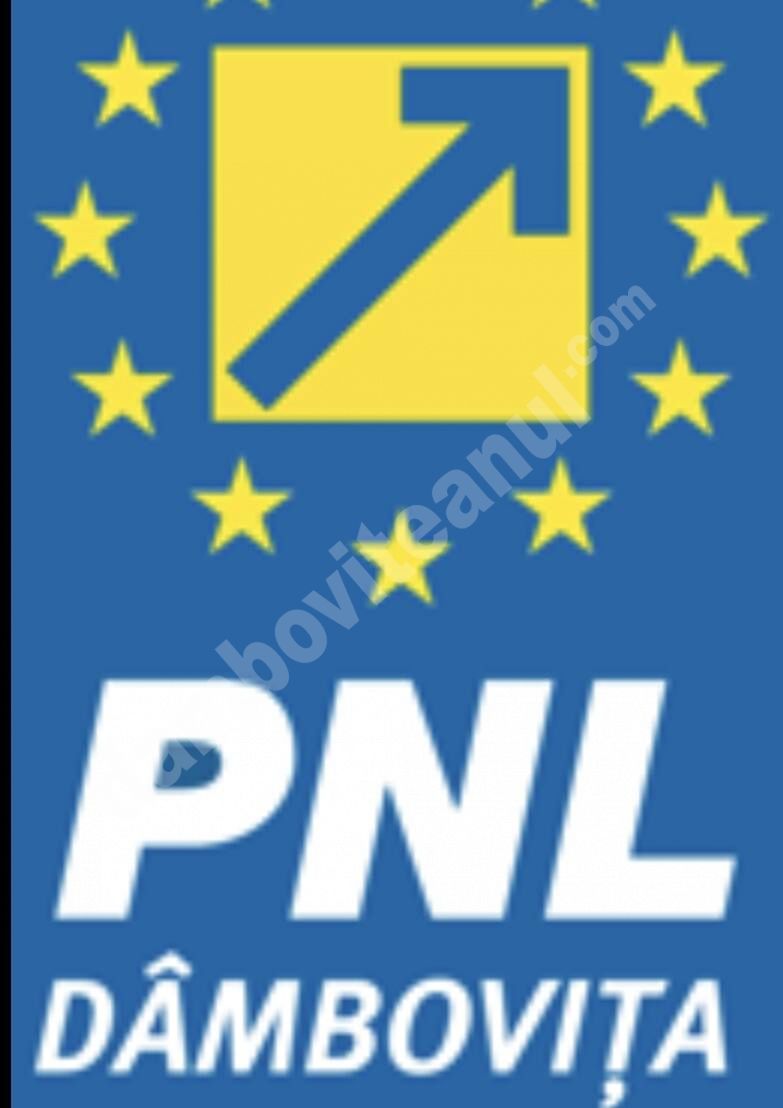 You are currently viewing COMUNICAT PNL Dâmbovița: PNL este singurul partid din România care demonstrează prin fapte că are soluții serioase!