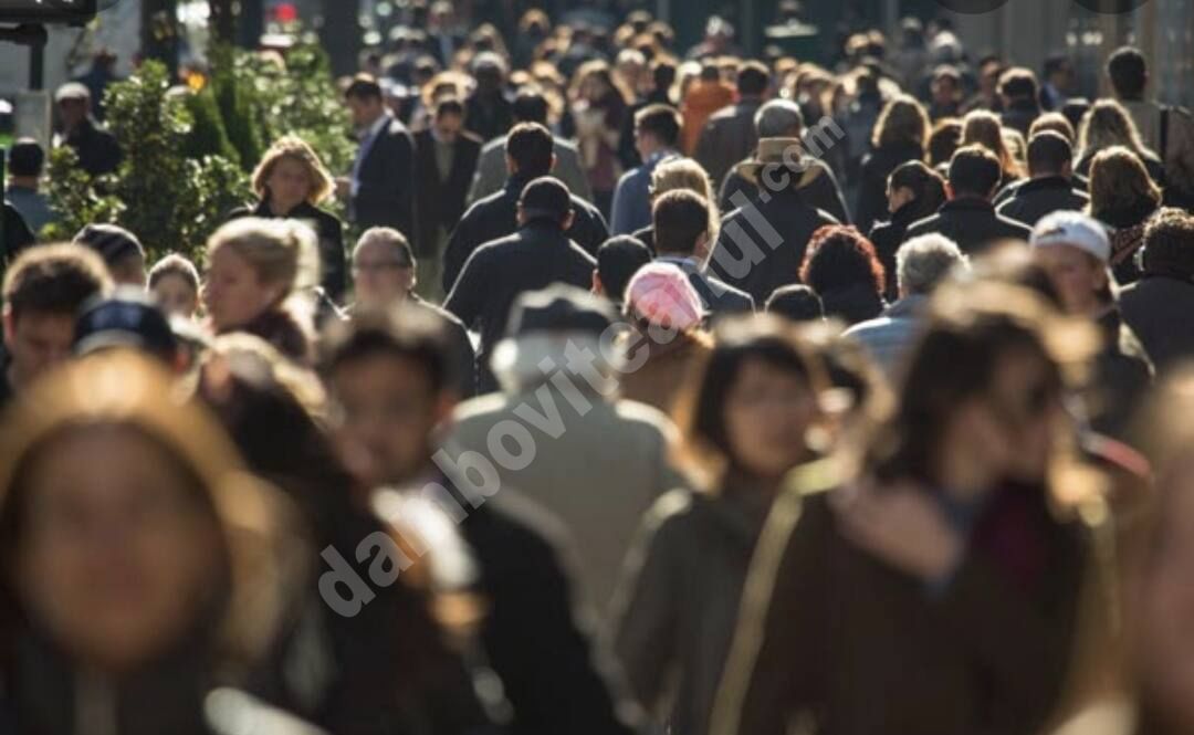 You are currently viewing STATISTICĂ DÂMBOVIȚA! Vezi ultimele date oficiale privind mișcarea naturală a populației