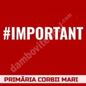 Read more about the article Scutiri de la plata penalităților,  pentru contribuabilii cu datorii din Corbii Mari