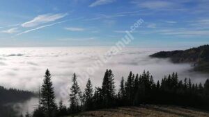 Read more about the article Imagini spectaculoase, surprinse zilele acestea, în parcul Natural Bucegi