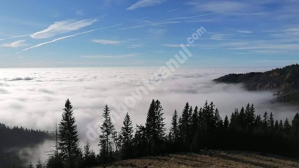 You are currently viewing Imagini spectaculoase, surprinse zilele acestea, în parcul Natural Bucegi