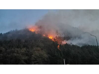You are currently viewing Pădurea din Oituz arde de cinci zile