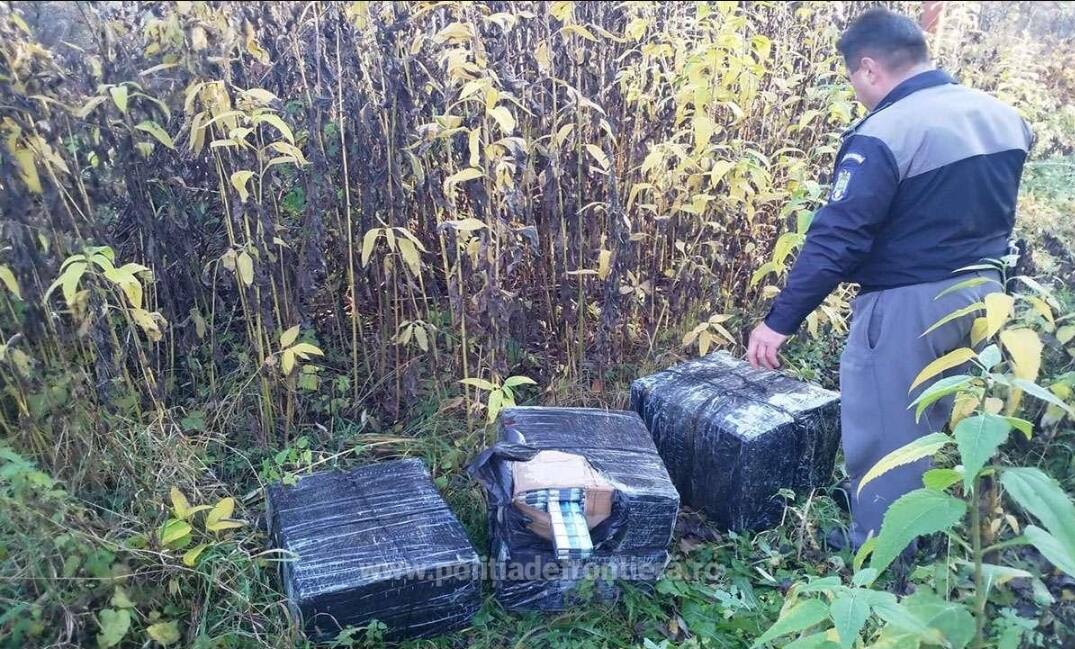 You are currently viewing Aproximativ 16.000 de pachete cu țigări de contrabandă, confiscate la frontiera cu Ucraina