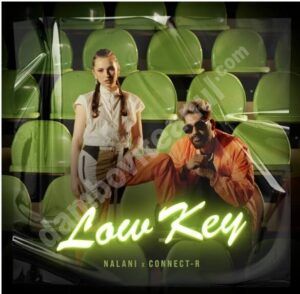 Read more about the article Nalani își unește forțele cu Connect-R pentru noul single “Low Key”