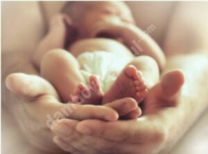 Read more about the article Vezi ultimele date statistice privind mișcarea naturală a populației în județul Dâmbovița!