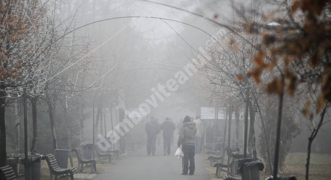 You are currently viewing METEO: În județul Dâmbovița, sunt așteptate precipitații moderate, intensificări ale vântului și polei! 