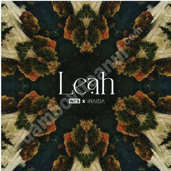 You are currently viewing Wrs și IRAIDA fac echipă pentru “LEAH” – primul single de pe MANDALA EP