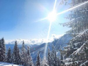 Read more about the article Drum liber, pentru turiști, spre zona montană dâmbovițeană