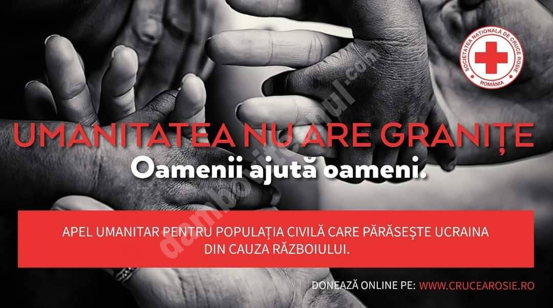 You are currently viewing Apel al deputatului Carmen Holban către dâmbovițeni
