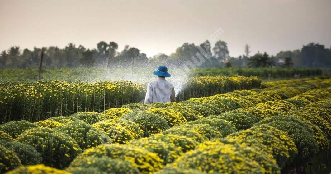You are currently viewing Mai mult de un sfert dintre fermele din România au dispărut, între anii 2010 şi 2020