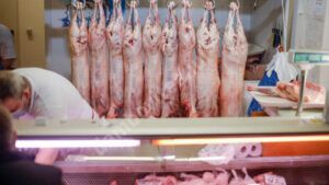 Read more about the article Fermierii avertizează că, până la Paști, kilogramul de carne de miel va depăși 40 de lei