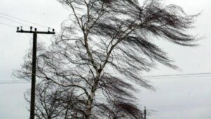 Read more about the article ATENȚIONARE METEO NOWCASTING – COD GALBEN DE VÂNT, ÎN DÂMBOVIȚA! VEZI LOCALITĂȚILE VIZATE!