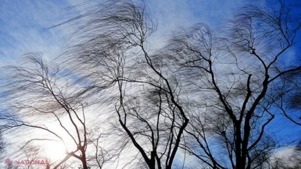 You are currently viewing AVERTIZARE METEO: Vânt puternic și instabilitate atmosferică, în Dâmbovița!