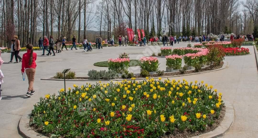 You are currently viewing La Pitești a început festivalul ,,Simfonia Lalelelor”