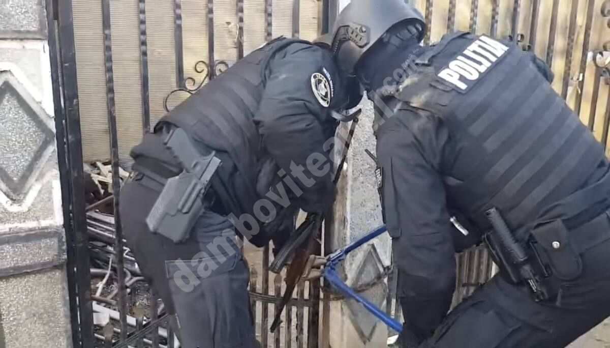 You are currently viewing Descindere în forță a polițiștilor, jandarmilor și comisarilor de mediu, astăzi, la Bălteni