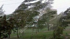 Read more about the article AVERTIZARE METEO: Cod GALBEN de vânt puternic, în județul Dâmbovița