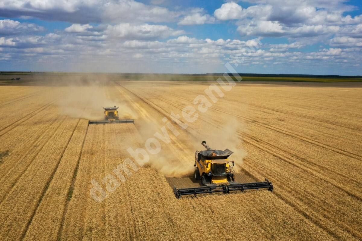 You are currently viewing Holde Agri Invest creează un nou pol, la Conțești, unde a achiziționat o fermă de 2.100 de hectare