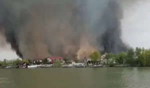 Read more about the article Incendiu într-o zonă protejată din Delta Dunării