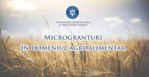 Read more about the article Schema de ajutor de stat „Microgranturi și granturi în domeniul agroalimentar” a fost aprobată de Comisia Europeană