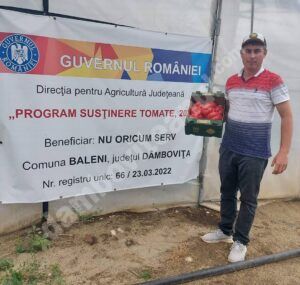 Read more about the article Vești bune pentru agricultori! Programul “tomata” dă roade în Dâmbovița!   