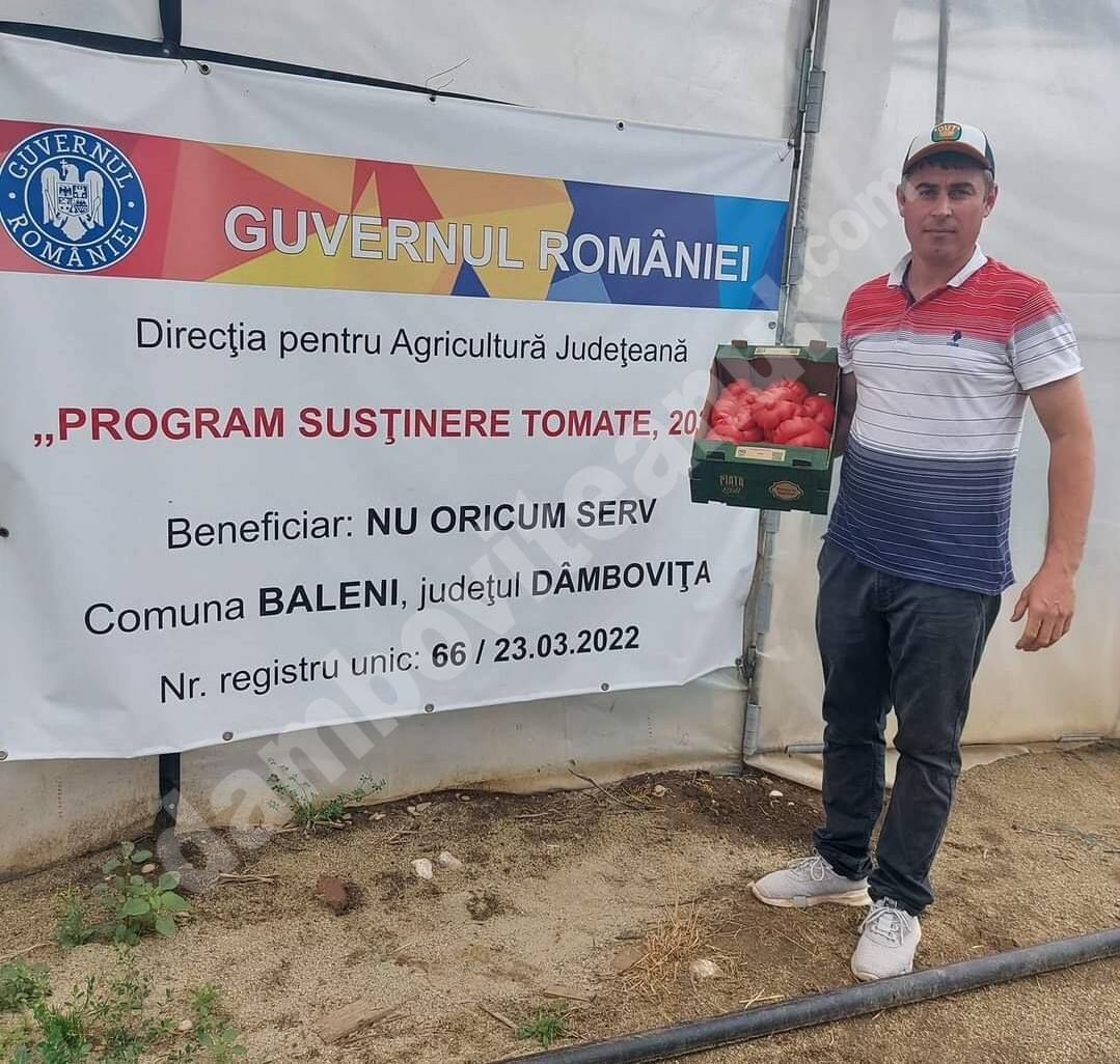 You are currently viewing Vești bune pentru agricultori! Programul “tomata” dă roade în Dâmbovița!   