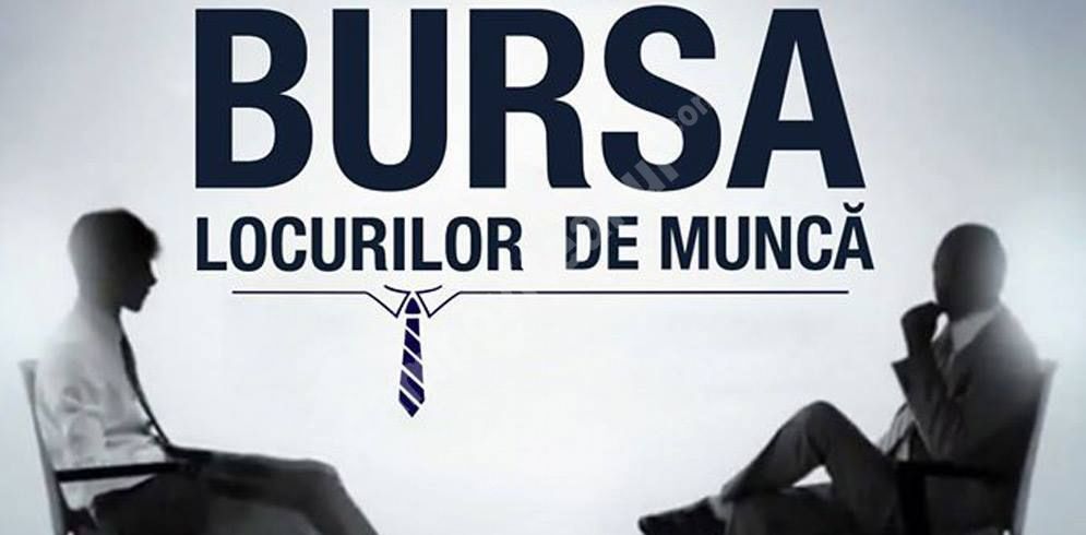 You are currently viewing Nemulțumită de modul de organizare, Camera de Comerț Dâmbovița nu va participa la Bursa Locurilor de muncă organizată mâine