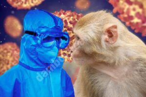 Read more about the article Întâlnire de urgenţă a Organizaţiei Mondiale a Sănătăţii pe tema variolei maimuţei. Vezi detalii despre simptome și evoluția bolii